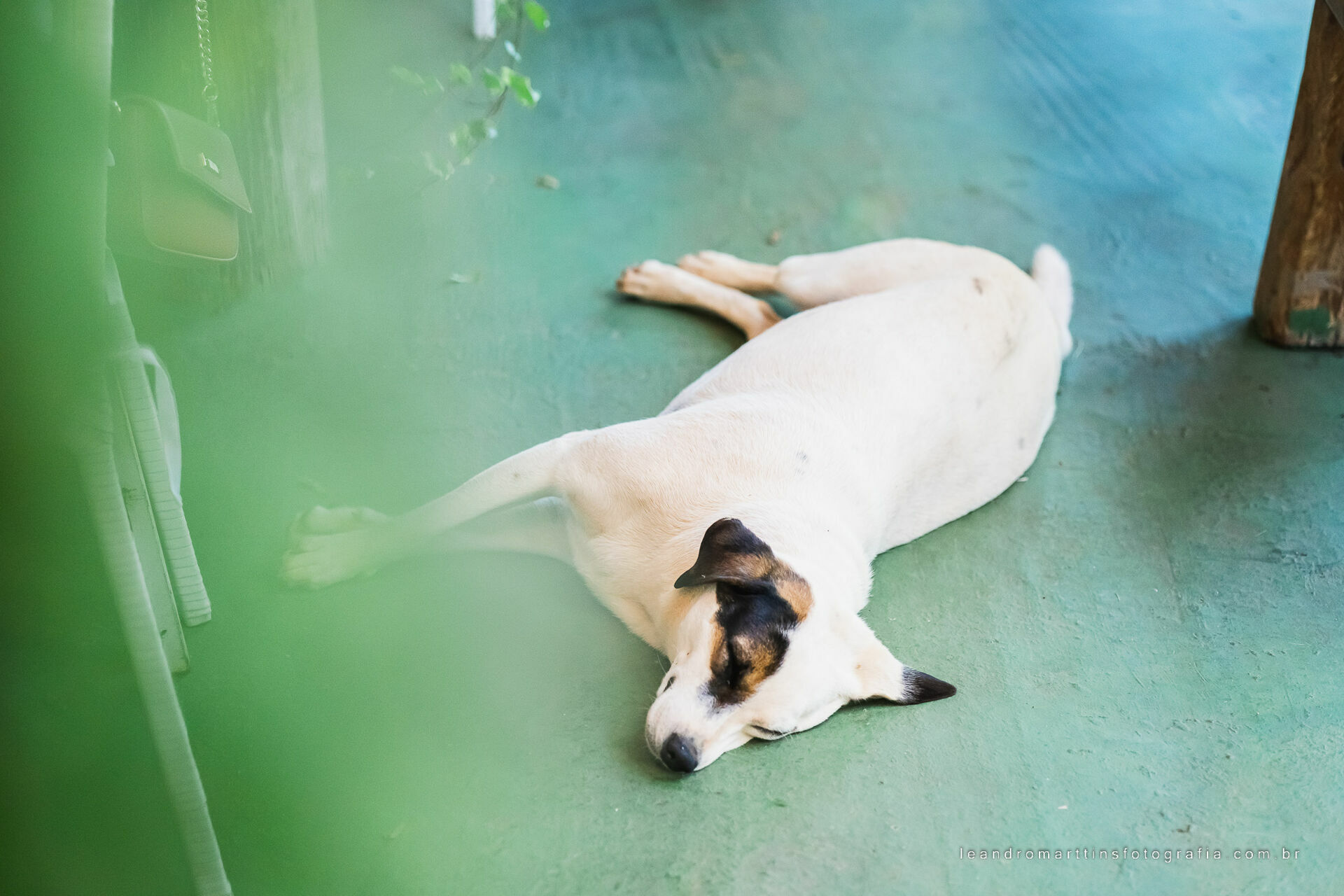 Foto Casamento Vivian e Felipe - Imagem 50
