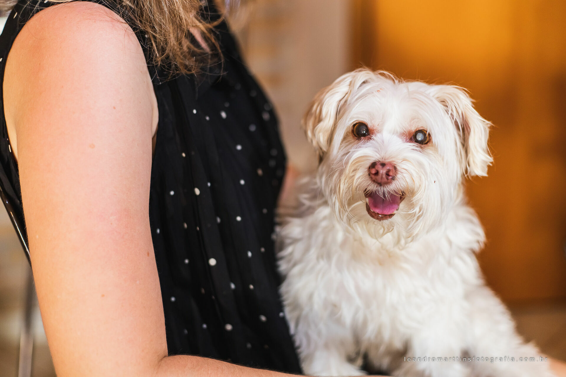 Foto Casamento Vivian e Felipe - Imagem 2